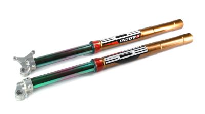 KAWASAKI 250 - Factory-R Motorcycle Fork